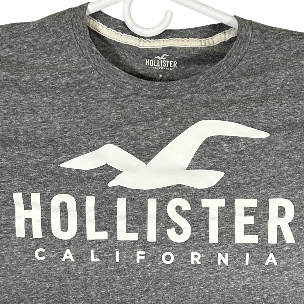 Hollister California Mens M Grey Black Ombre Long Sleeve Graphic T-Shirt Seagull